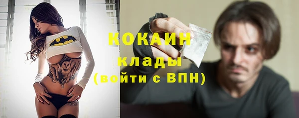стаф Гусев