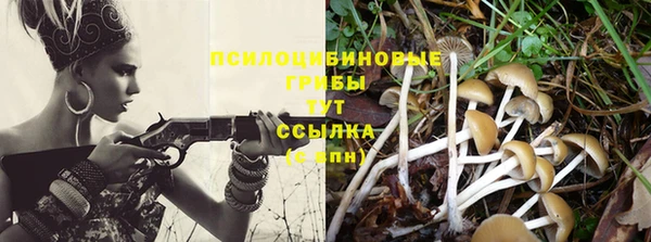 стаф Гусев