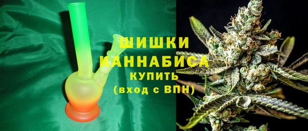 стаф Гусев