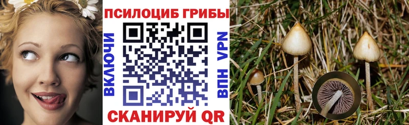 купить  цена  Стерлитамак  Галлюциногенные грибы Magic Shrooms 